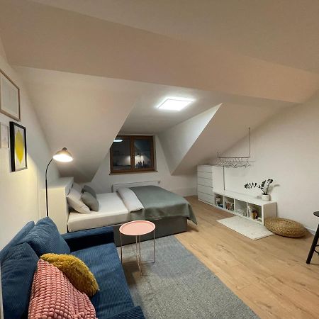 Proste Terezska Apartment ออลอโมตซ์ ภายนอก รูปภาพ