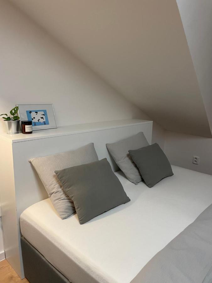 Proste Terezska Apartment ออลอโมตซ์ ภายนอก รูปภาพ